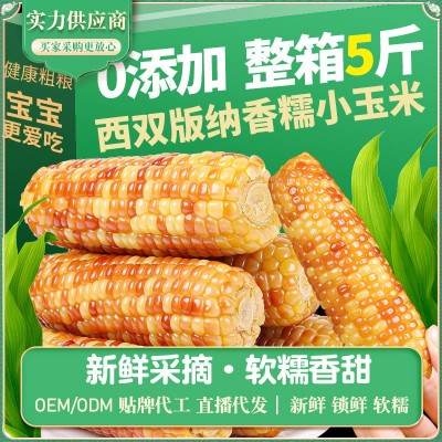 西双版纳拇指小玉米批发新鲜糯玉米香糯小玉米花糯玉米低脂健康