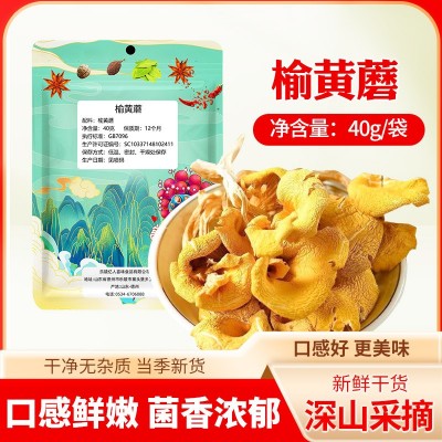 批发榆黄蘑东北野生干货菌菇榆黄蘑鸡油菌新鲜杂菌蘑菇家用榆黄蘑