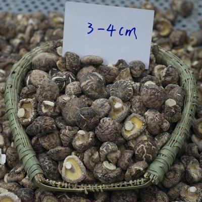 厂家直销秋载一级光面菇厚肉冬菇批发