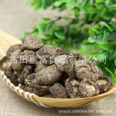 小香菇古田蘑菇优质冬菇干菇水菇肉厚煲汤食材火锅500g批发