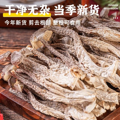 鹿茸菇干货云南食用菌菇特产煲汤脆脆菇厂家产地源头批发干货代发