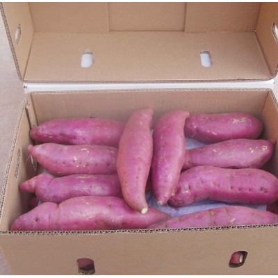 新鲜紫薯