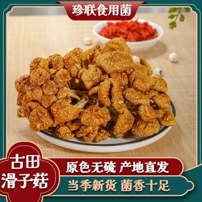 【厂家直销】福建古田滑子菇干货500G包装滑子蘑滑菇干货大量批发