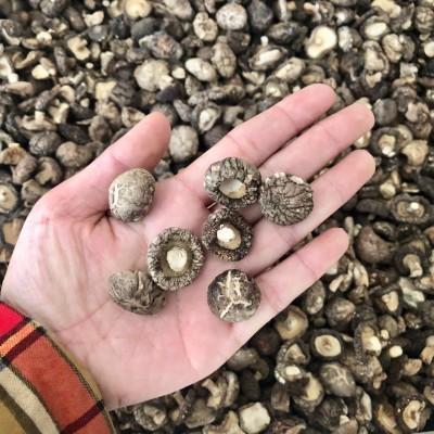 小香菇干货冬菇蘑菇西峡产地批发常年供应500g南北干货可一件代发