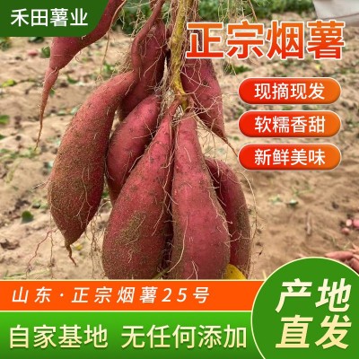 糖化烤薯50斤农场营养生现挖香甜糯流油红薯小番薯西瓜红新鲜地瓜