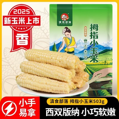 新玉米云南西双版纳拇指玉米新鲜白糯迷你手指玉米儿童早餐代发
