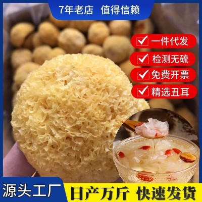 厂家直供古田精选散装丑耳小银耳碎黄金耳白木耳糯耳雪耳干货批发