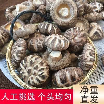 福建古田花菇干货剪脚肉厚新货干花菇土特产农家