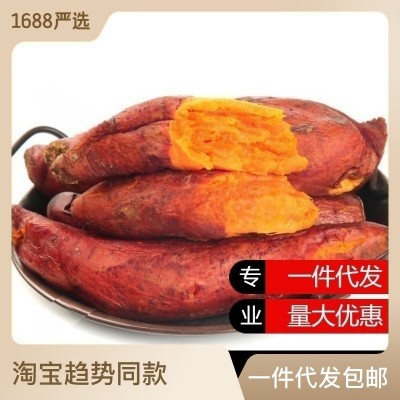 一件代发西瓜红红薯蜜薯糖心板栗薯番薯9斤湛江现挖沙土红薯批发