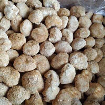 厂家直供古田新货猴头菇干货批发散装新鲜食用菌餐饮酒店食材批发