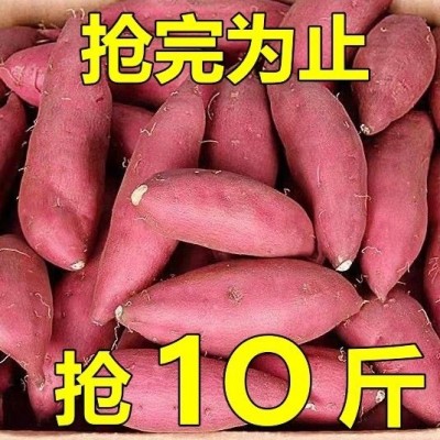 正宗高山沙地蜜薯烤红薯新鲜糖心超甜蜜薯低脂肪农家自种批发