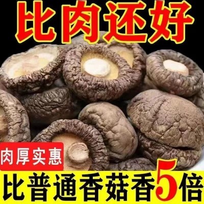 福建古田金钱菇干货营养菌菇农家特产冬菇商用野生菌类香菇