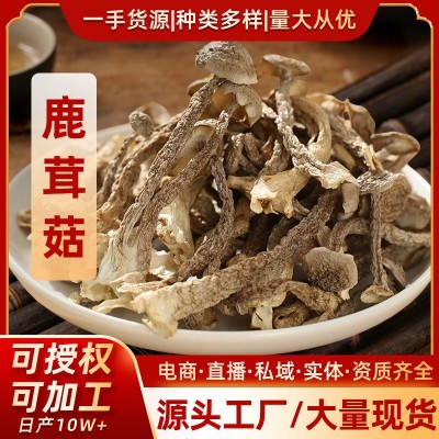 【产地直发】鹿茸菇干货5斤散货鹿茸菌10斤特产级脆脆菇厂家批发