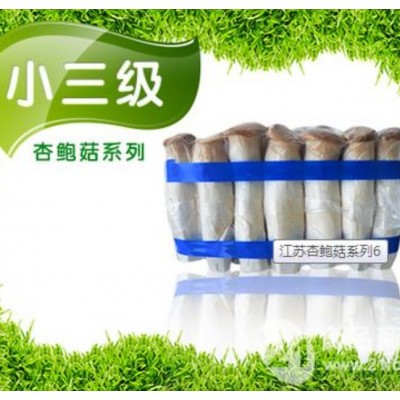 小三级杏鲍菇