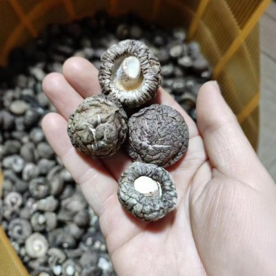 随州香菇源头工厂批发货源稳定充足餐饮酒店食品厂直供干香菇