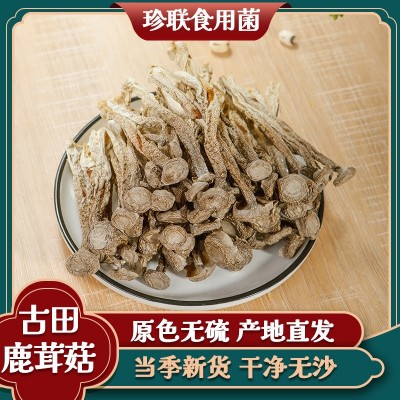 古田特产鹿茸菇干货500G包邮火锅煲汤食用菌农产品鹿茸菇产地直发