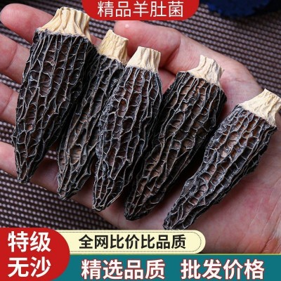 【4-6厘米】羊肚菌古田食用菌精选头茬优质干货大小包装500g规格