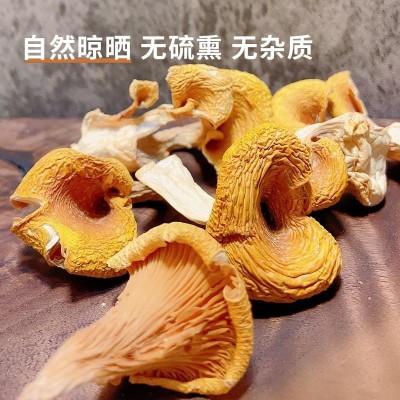 福建古田鸡油菌干货黄丝菌黄金菇榆黄菇菌菇煲汤料鸡枞菌干菌子