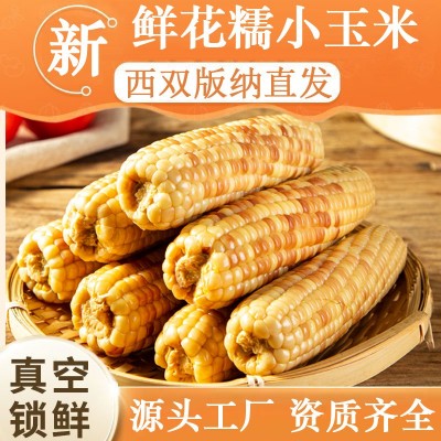 云南西双版纳香糯小玉米儿童早餐粗粮花糯新鲜现摘真空甜糯 玉米棒