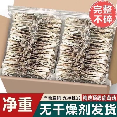 【10斤大份量】古田鹿茸菇食用菌干货脆脆菇各种规格各类平台代发