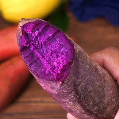 新鲜紫薯农家自种现挖新鲜沙地紫色番薯蔬菜紫薯番薯粉糯整箱