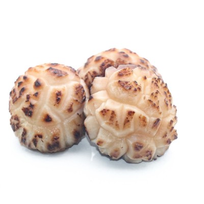 优质有机天然干香菇美味花菇