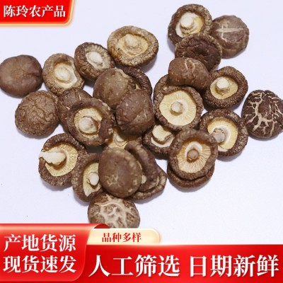 香菇干农家特产肉厚无根小干香菇商用散装批发平脚菌菇河南干香菇