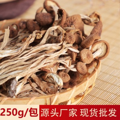 正胜茶树菇干货福建农场品煲汤菌菇250g 厂家现货批发 菌菇干货