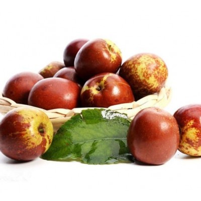 山东早熟鲜枣陆续上市口感脆甜手工现摘欢迎各地朋友考察