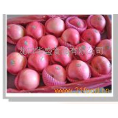 红富士苹果
