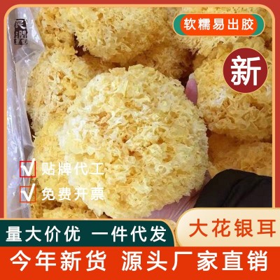 【散装批发】净重熟银耳古田银耳碎干货白木耳餐饮酒店食材批发