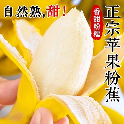 正宗苹果蕉当季新鲜水果现摘10斤整箱自然熟孕妇小米蕉香蕉粉蕉