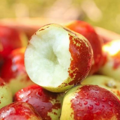 山东冬枣脆甜冬枣新鲜水果鲜枣大枣脆枣现发包邮