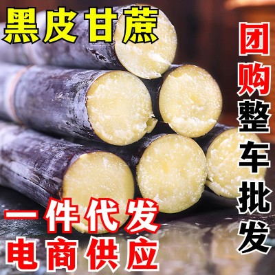 黑皮甘蔗 一件代发 紫皮甘蔗当季新鲜水果一级甘蔗特产脆皮甜榨汁