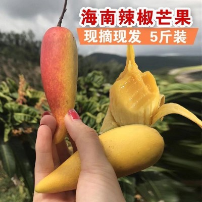 辣椒芒海南新鲜5斤当季现摘热带芒果孕妇水果网红牙签小芒果1斤