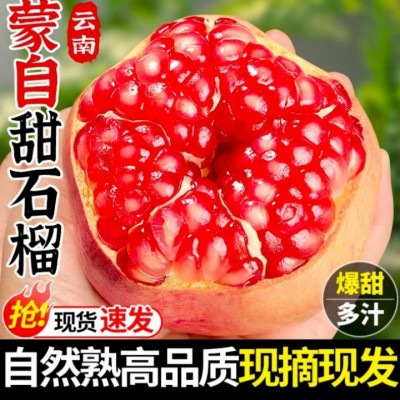 云南蒙自石榴旗舰店当季水果新鲜薄皮硬籽多汁酸甜石榴现摘现发包