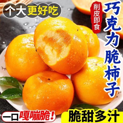 桂林巧克力脆柿子正宗新鲜水果当季冰糖心黄甜硬柿子整箱包邮