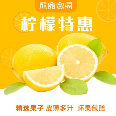商用专供新鲜现摘榨汁皮薄多汁四川安岳黄柠檬精选柠檬特惠批发