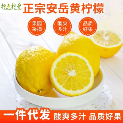 四川安岳柠檬新鲜应季水果黄柠檬精选皮薄多汁一级香鲜意一件代发