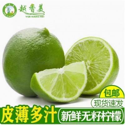 越南东亚品种塔斯提无籽柠檬新鲜无籽青柠