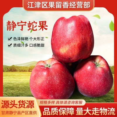 果园采摘产地直供甘肃蛇果花牛果苹果宝宝辅食整箱批发