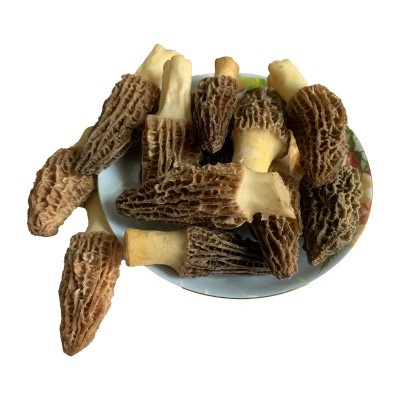 羊肚蘑菇非新鲜冻品冷冻云南菌菇批发速冻羊肚菌1Kg