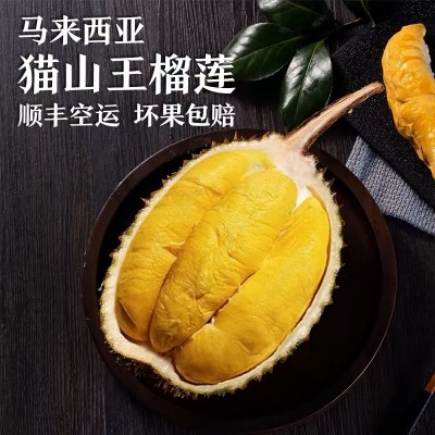 马来西亚猫山王d197正宗液氮4头5头6头整箱源头直供冷冻带壳整果