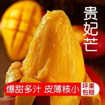 海南贵妃芒果斤装整箱新鲜应季水果斤红金龙海南芒果代发厂批发