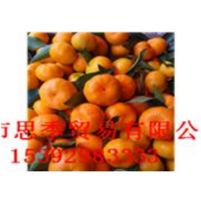 湖北桔子 湖北蜜桔