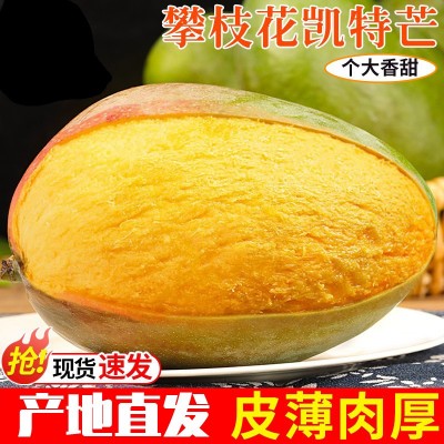 正宗四川攀枝花凯特芒新鲜水果10斤当季整箱大芒果包邮产地直发