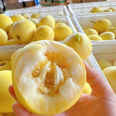 正宗山东小蜜罐甜瓜5斤新鲜水果当季3批发包邮10星甜20小蜜蜂香瓜