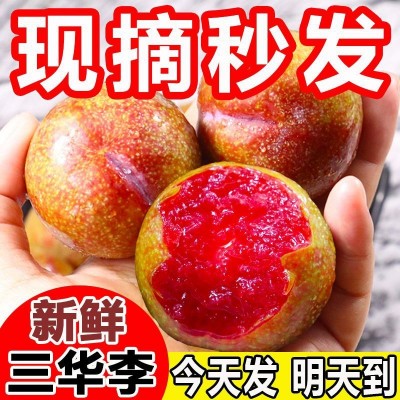 三华李酸甜爽脆红心李子当季新鲜水果整箱批发独立站速卖通