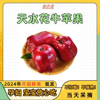 花牛苹果甘肃天水新鲜水果当季整箱10斤婴儿糖心粉面沙甜红蛇平果