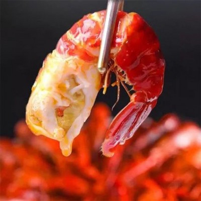 现货批发单冻龙虾 速冻龙虾尾 冷冻水产 箱装去头龙虾球